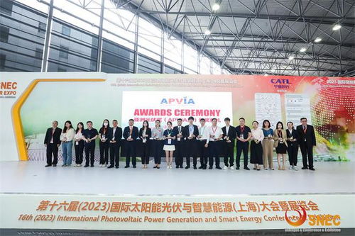 雙良2023SNEC光伏展圓滿落幕，連獲三項(xiàng)大獎(jiǎng)?wù)蔑@科技實(shí)力